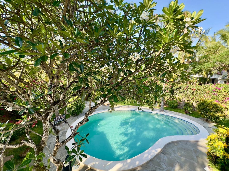 Garden, Garden view, Pool view, Swimming pool