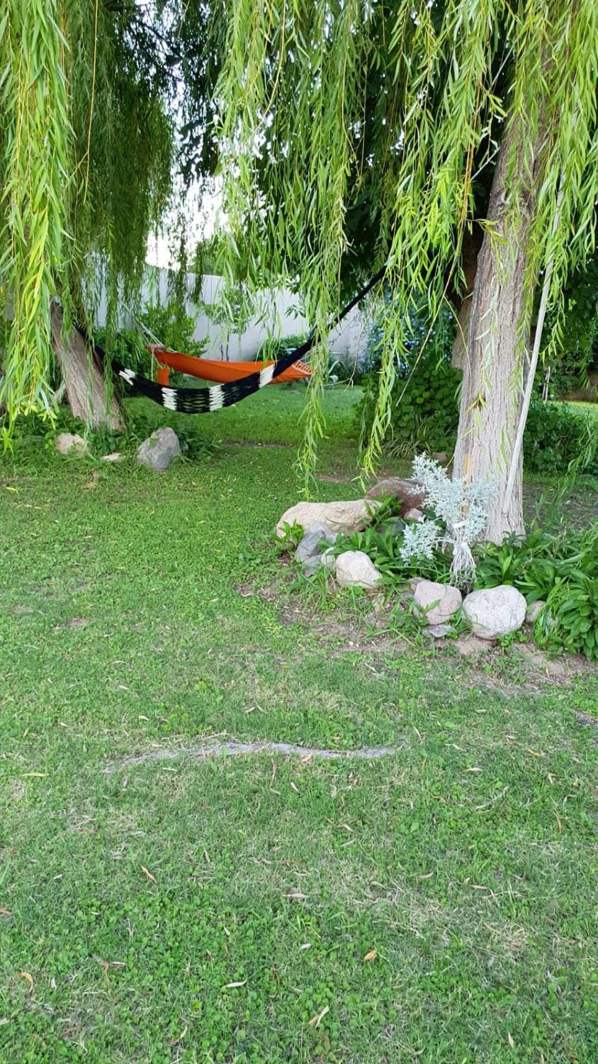 Natural landscape, Garden