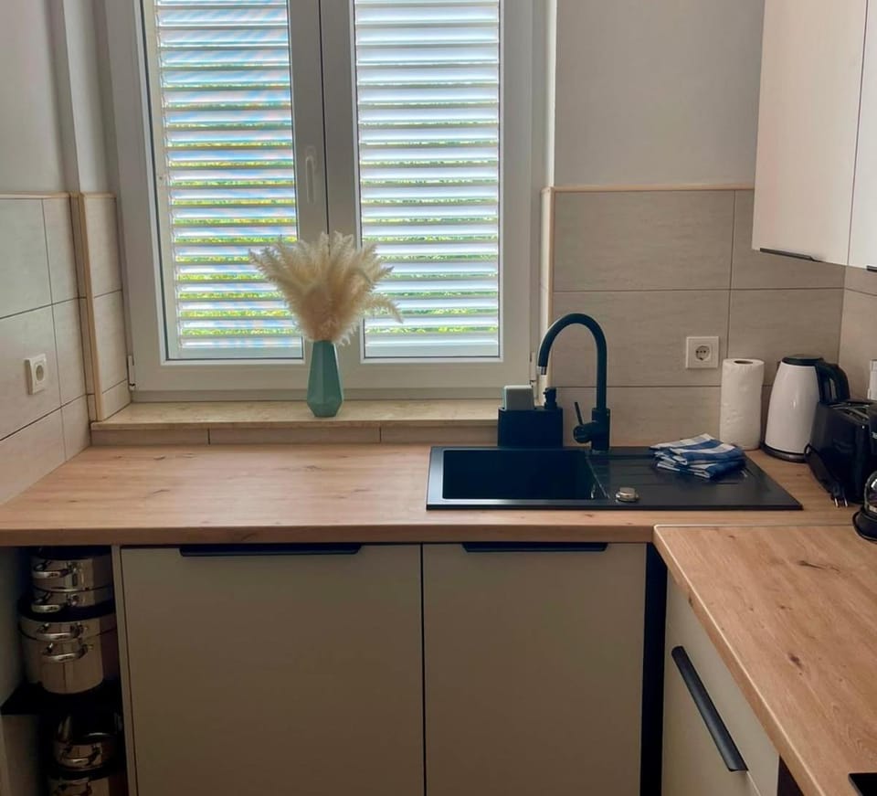 Modern and spacious 3-bedroom apartment with balcony & garden near beach Apartment in Primorje-Gorski Kotar County