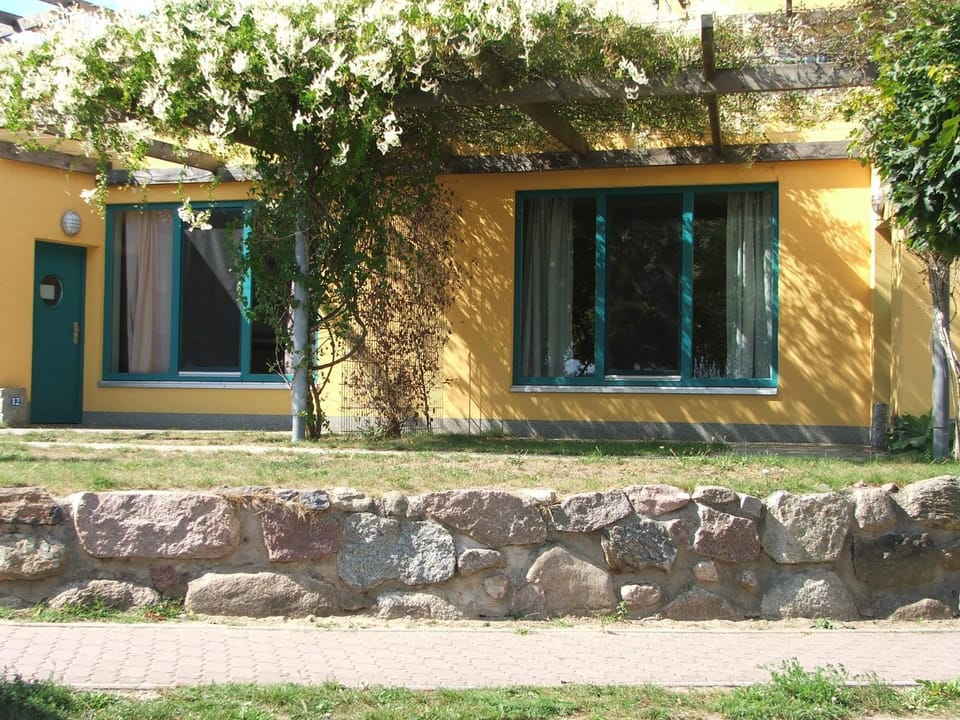 Property building, Day, Garden