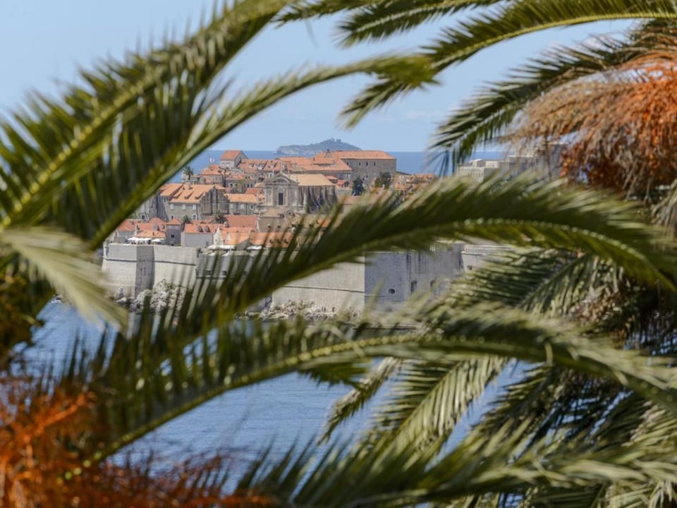Natural landscape, City view