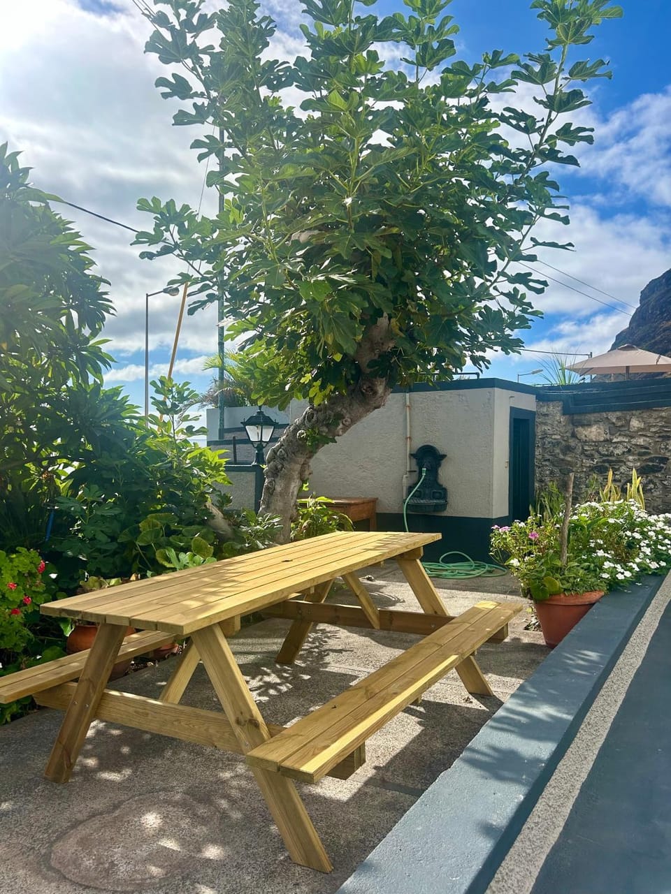 Day, Natural landscape, Garden, Garden view