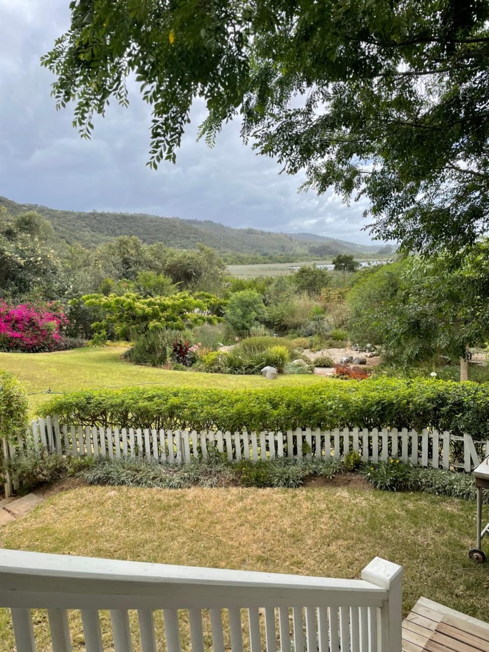 Garden view