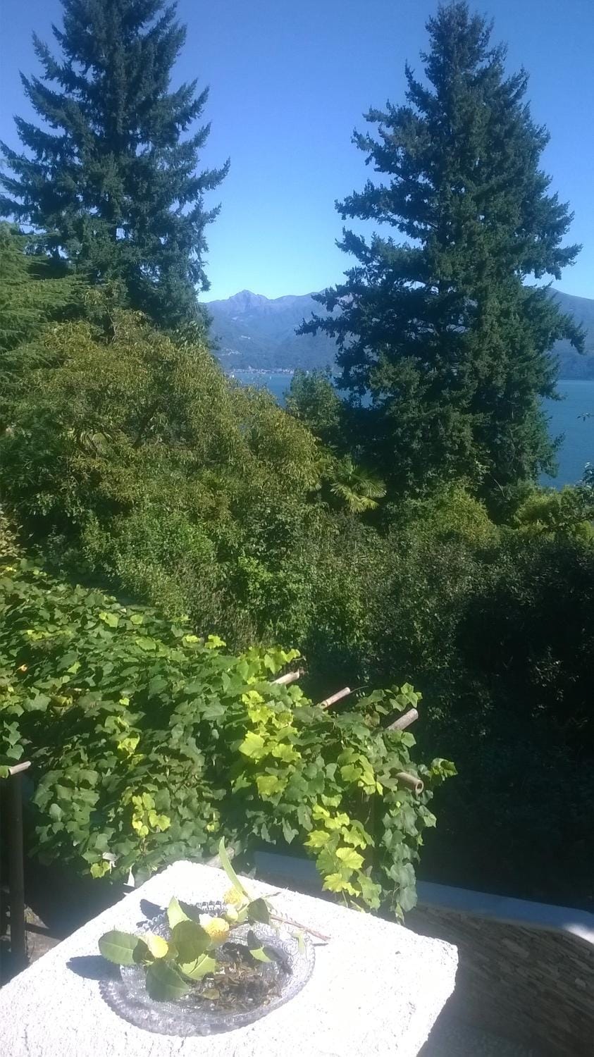 Natural landscape, Garden, Garden view, Lake view