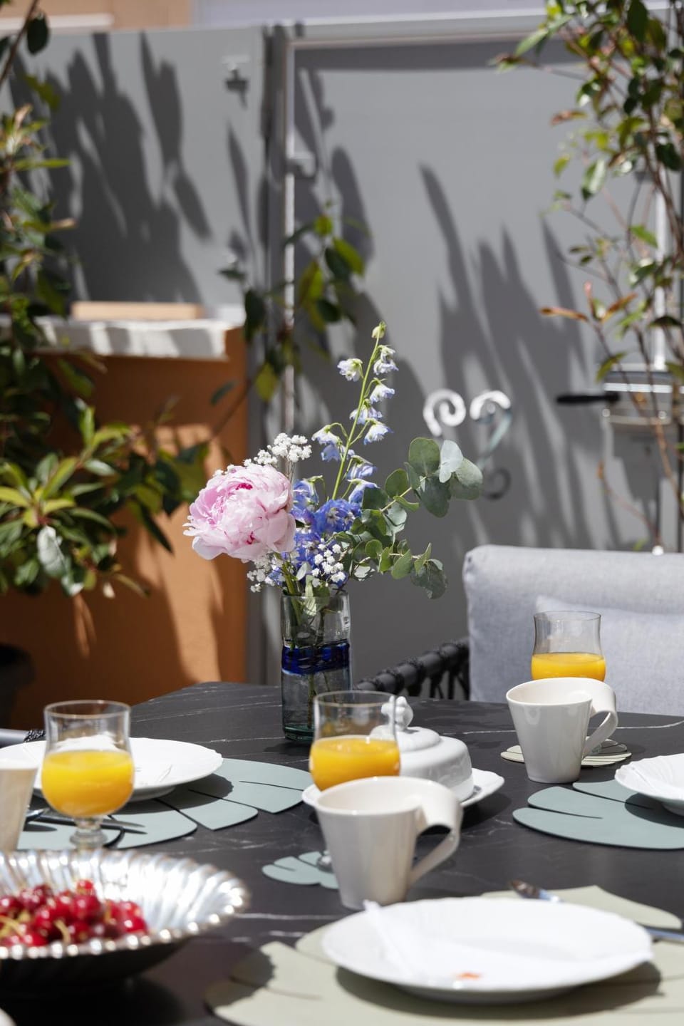 Patio, Balcony/Terrace