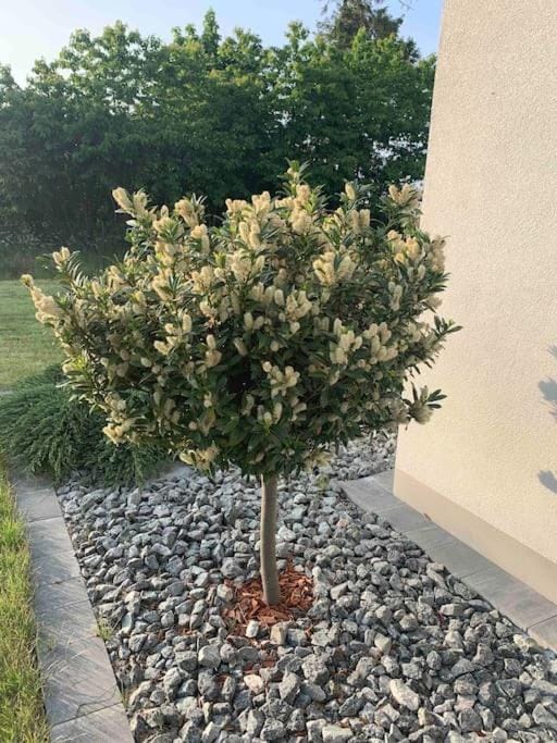 Dom na Sielskiej House in Pomeranian Voivodeship