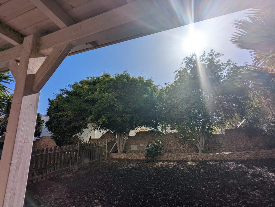 Day, Garden, Garden view