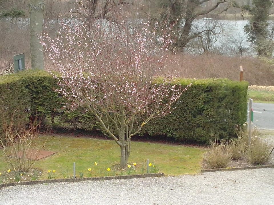 La Bourgade Bed and Breakfast in Hauts-de-France