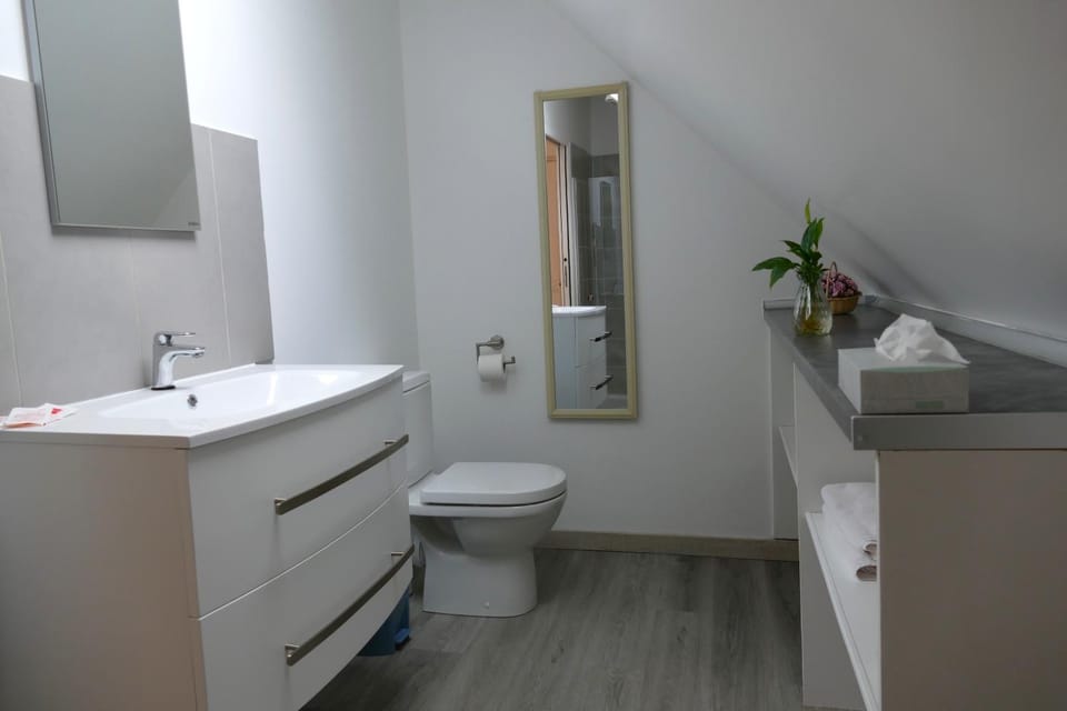 Le Cosy de Roseline Apartment in Grand Est