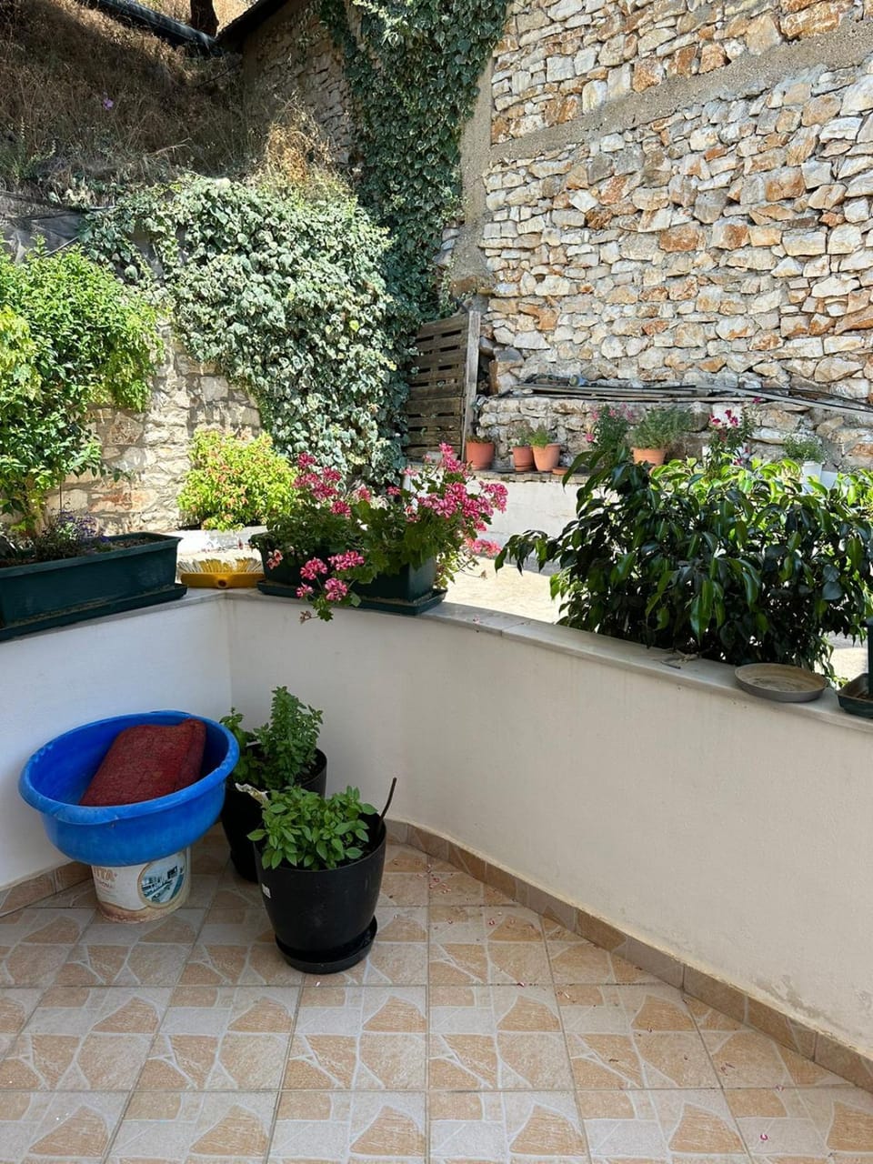 Day, Garden, Garden, Balcony/Terrace, Garden view