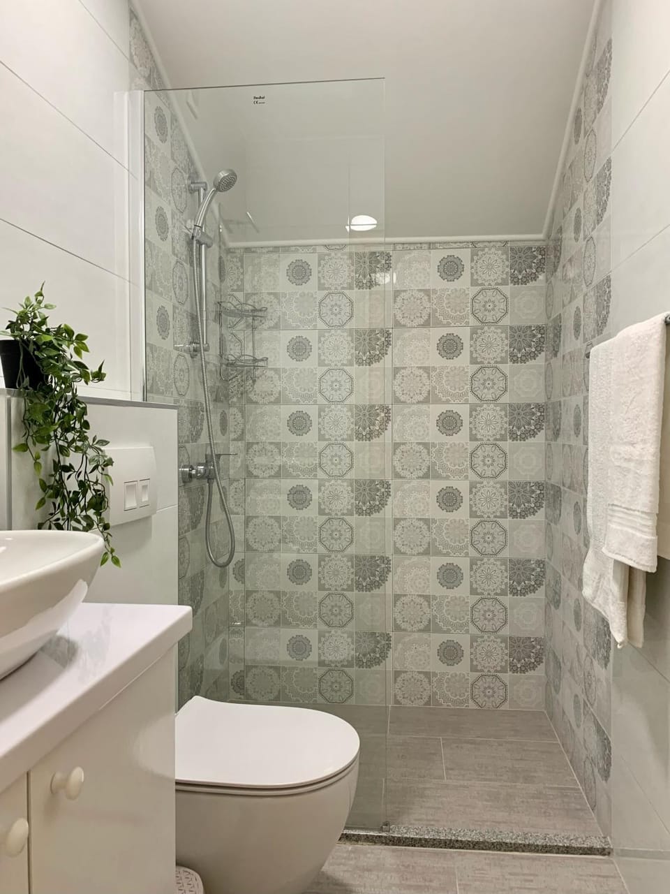 Shower, Toilet, Bathroom, towels