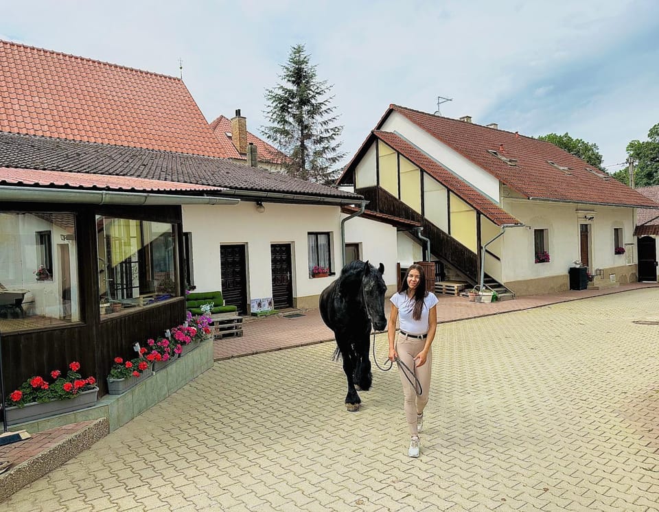 Property building, Neighbourhood