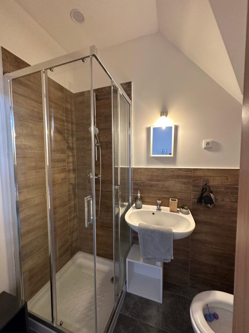 Shower, Toilet, Bathroom