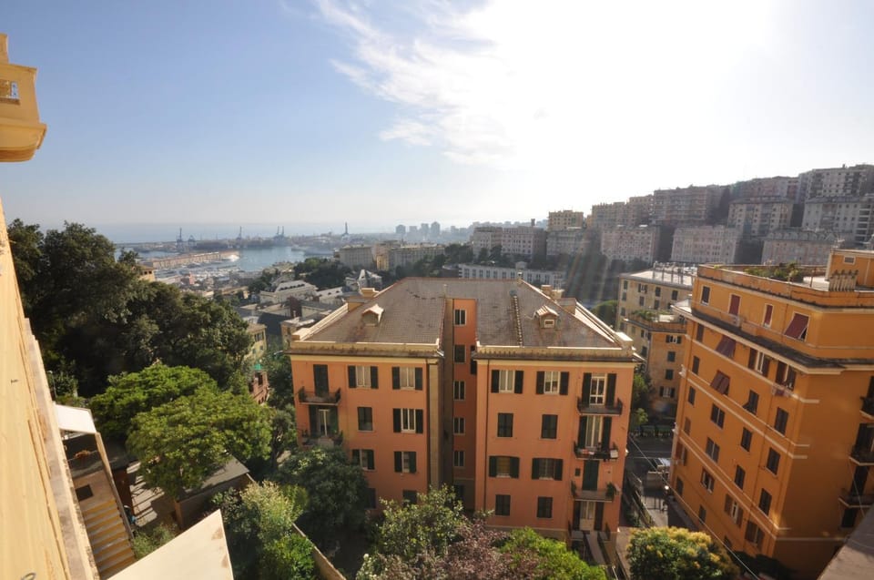 View (from property/room)
