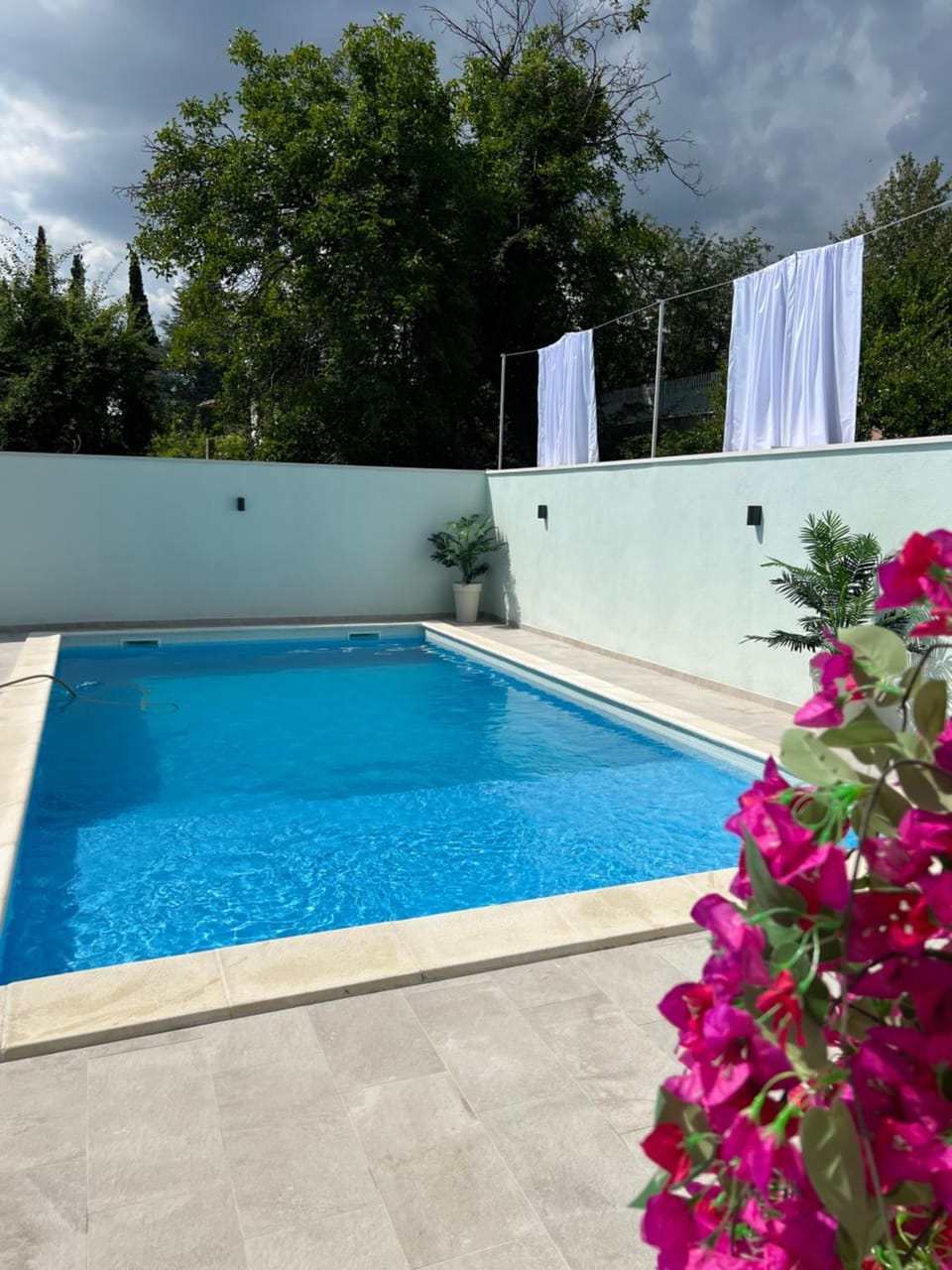Garden, Garden view, Pool view, Swimming pool