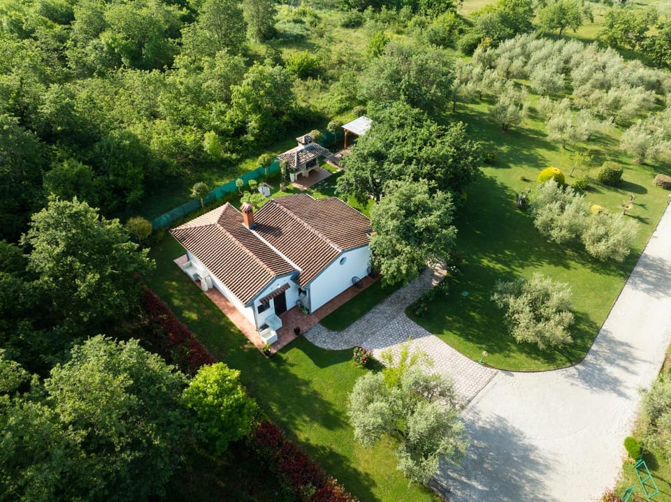 Property building, Spring, Day, Natural landscape, Bird's eye view, Garden, Garden view
