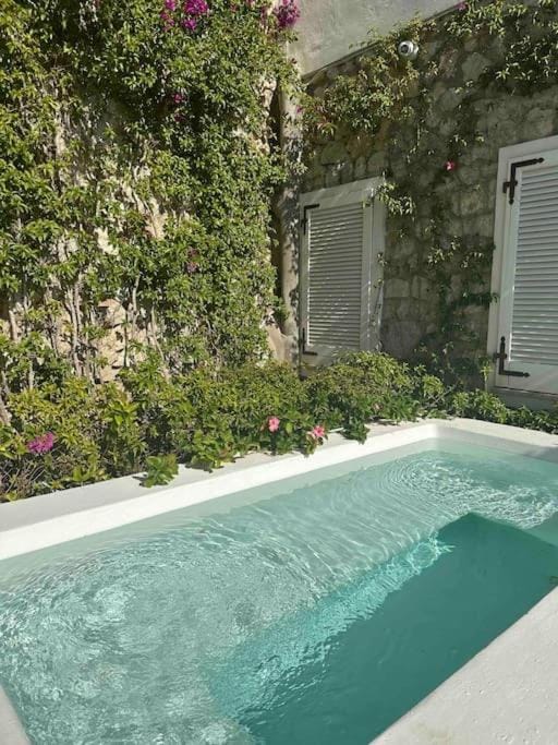 Garden, Hot Tub, Garden view