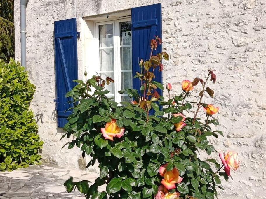 Petite maison de charme Les Chats Pîtres House in Nouvelle-Aquitaine