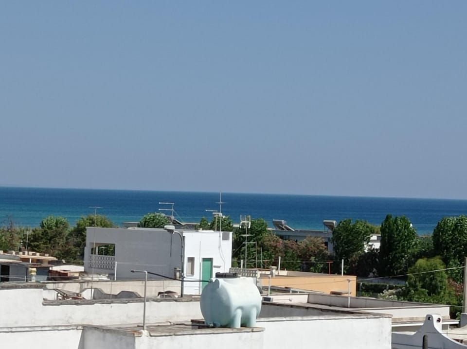 Sea view