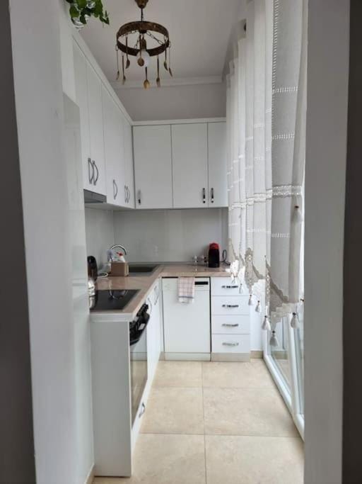Kitchen or kitchenette, dishwasher, stove