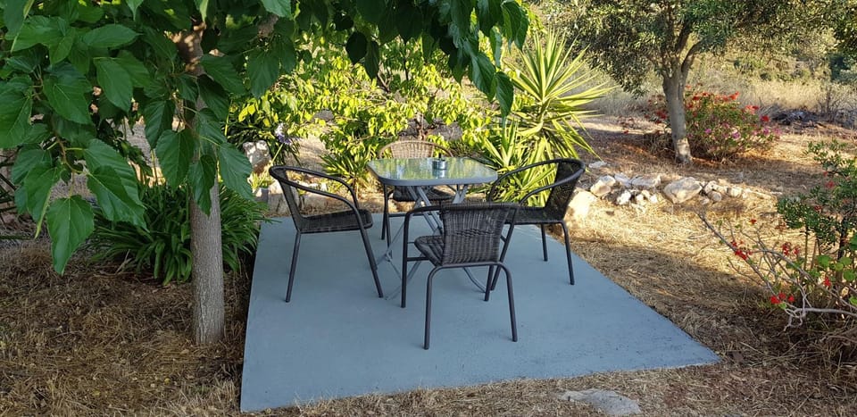 Garden, Garden, Dining area