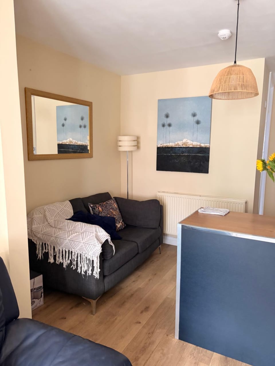 Charming nicely renovated terrace Apartment in Liverpool