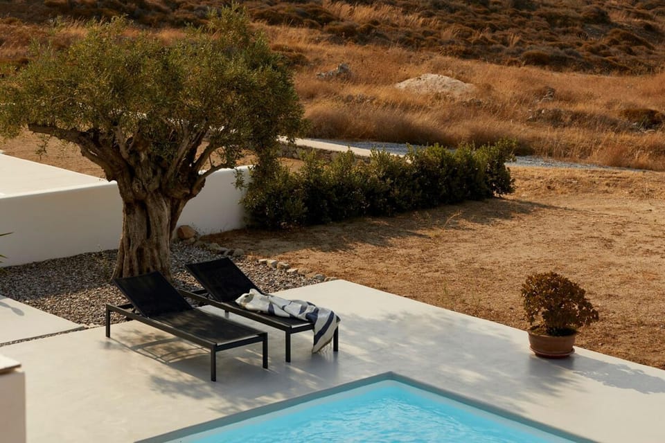 Spring, Day, Natural landscape, Garden, Garden view, Pool view, Swimming pool, sunbed