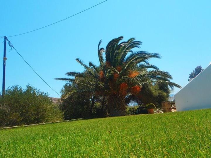 Property building, Place of worship, Garden