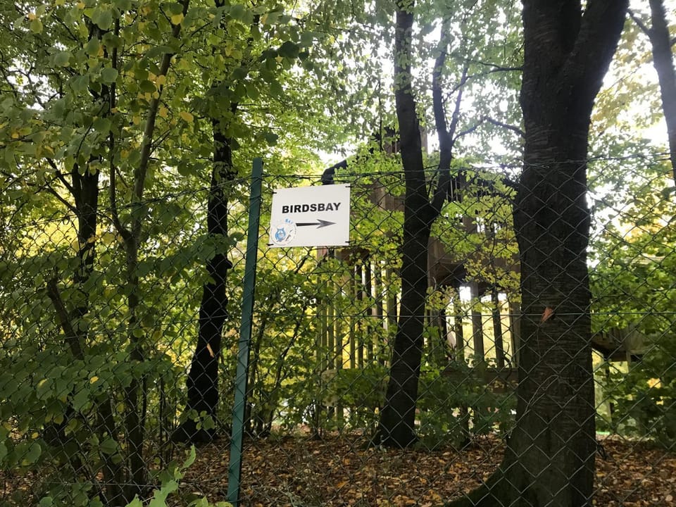 True Hospitality Apartment in Wallonia, Belgium