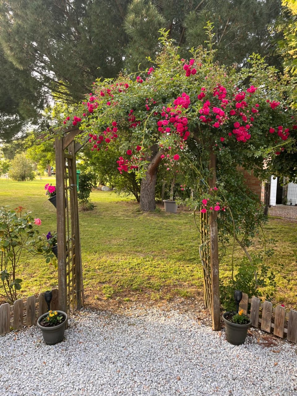 Chambre d'hôte Bed and Breakfast in Occitanie