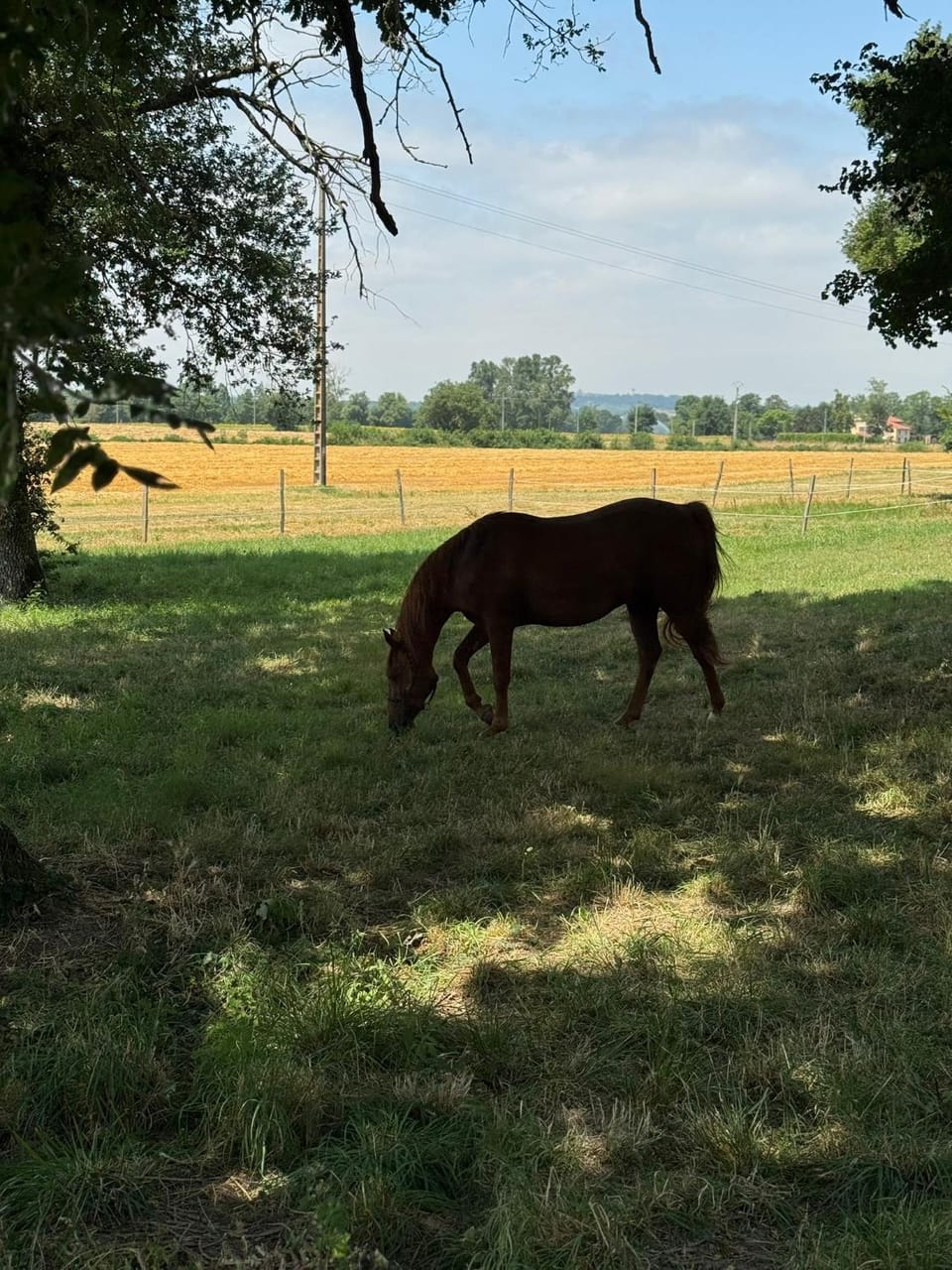Chambre d'hôte Bed and Breakfast in Occitanie