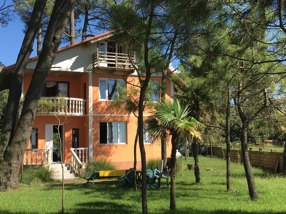 Property building, Garden