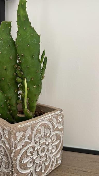 Decorative detail