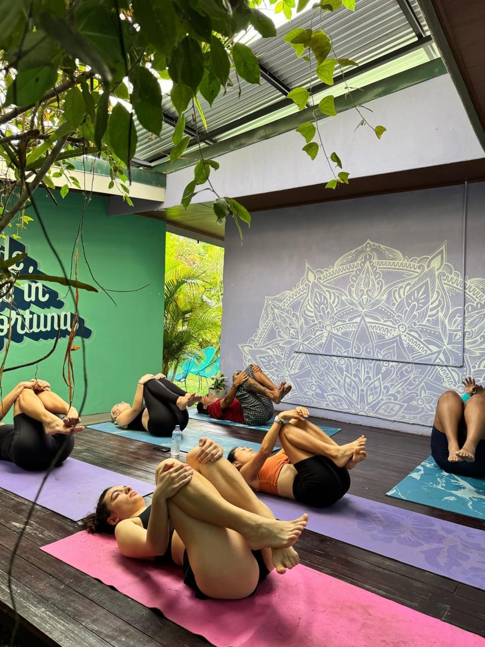 Pura Vibra Hostel Hostel in La Fortuna