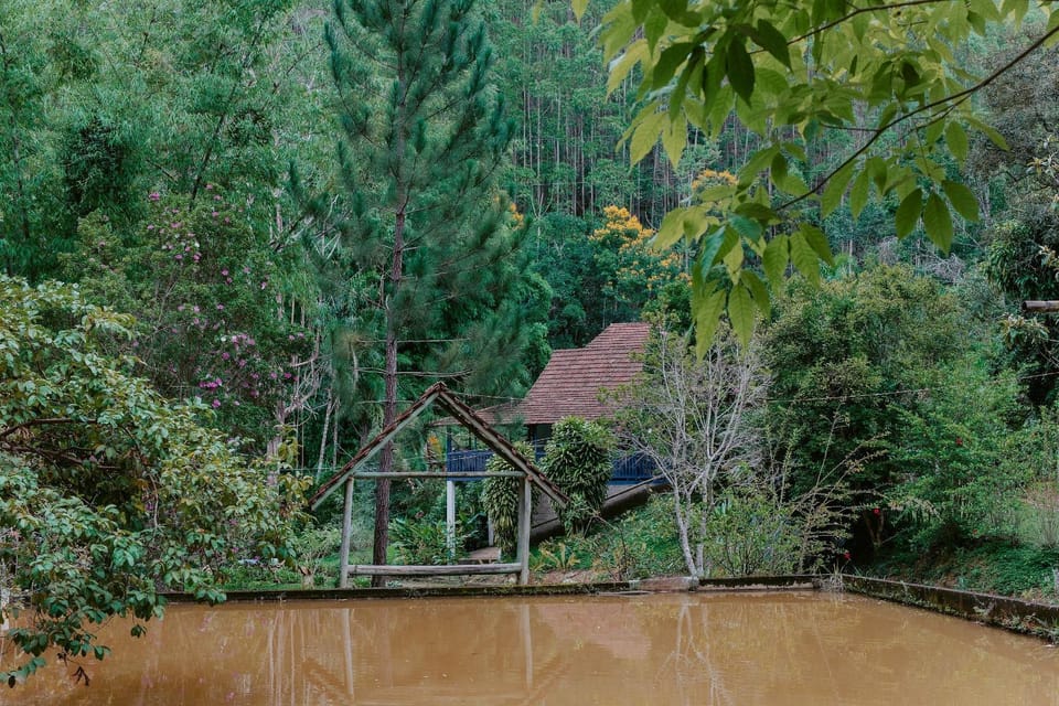 Lake view