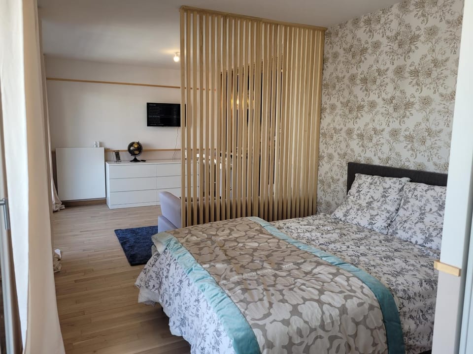 Biron deluxe studio flea market of Paris, porte de Montmartre Apartment in Saint-Denis, France