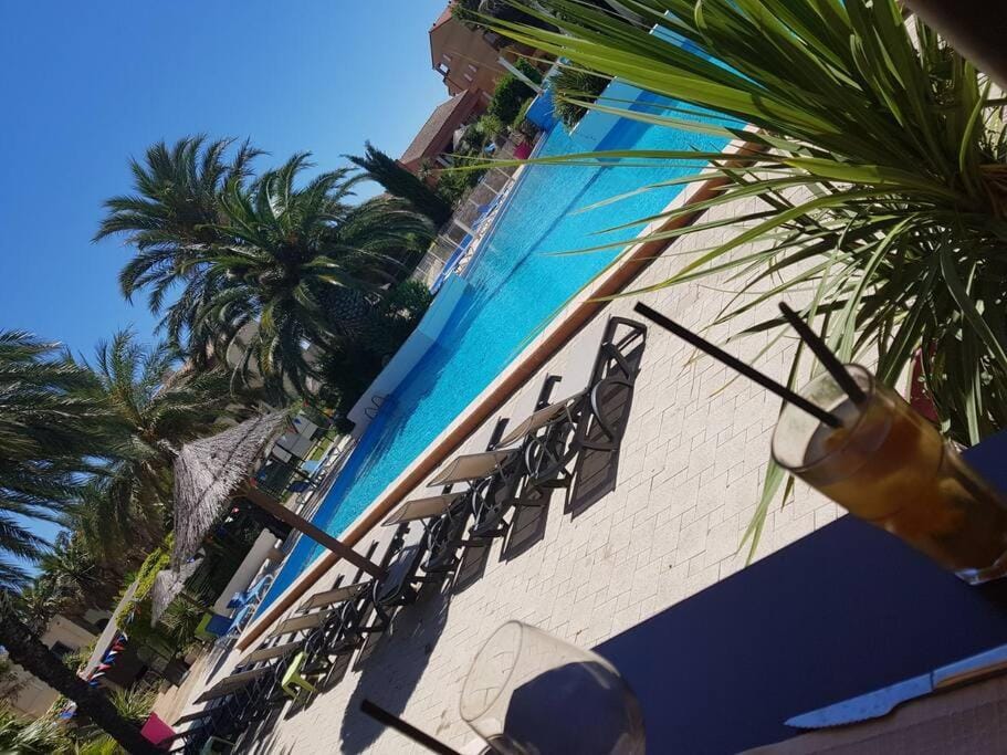 Patio, Garden, Swimming pool, sunbed