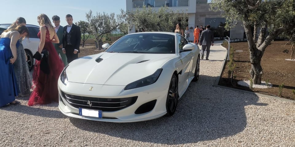 Day, People, group of guests