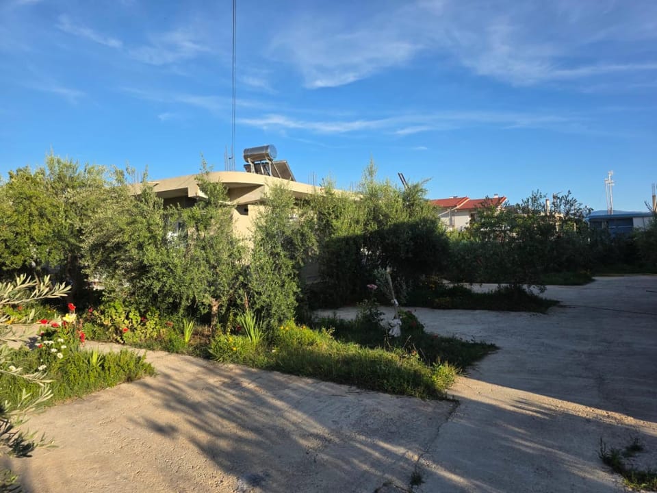 Rey Garden 2 Bed and Breakfast in Vlorë