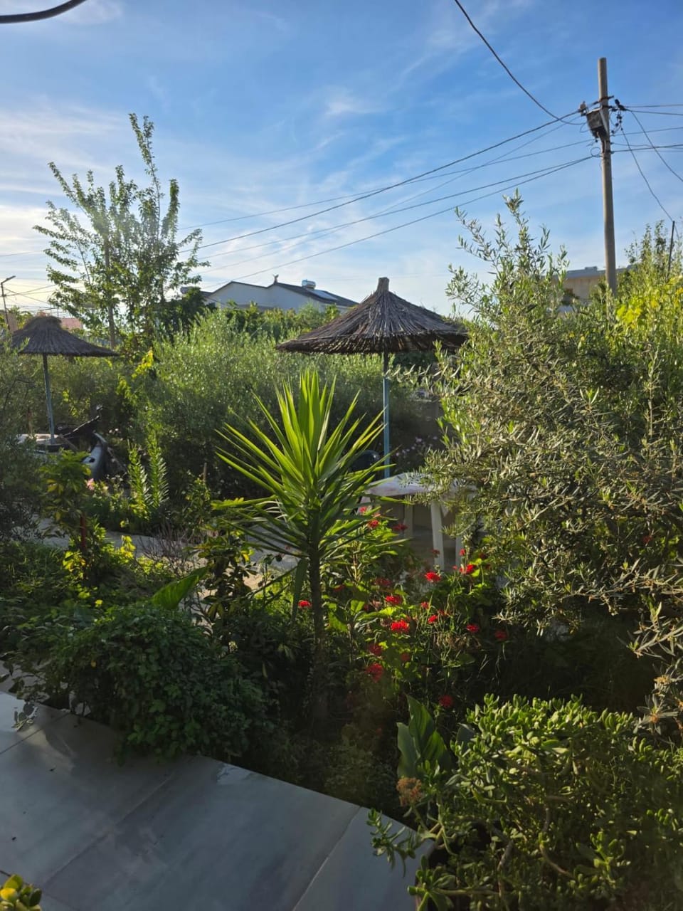 Rey Garden 2 Bed and Breakfast in Vlorë