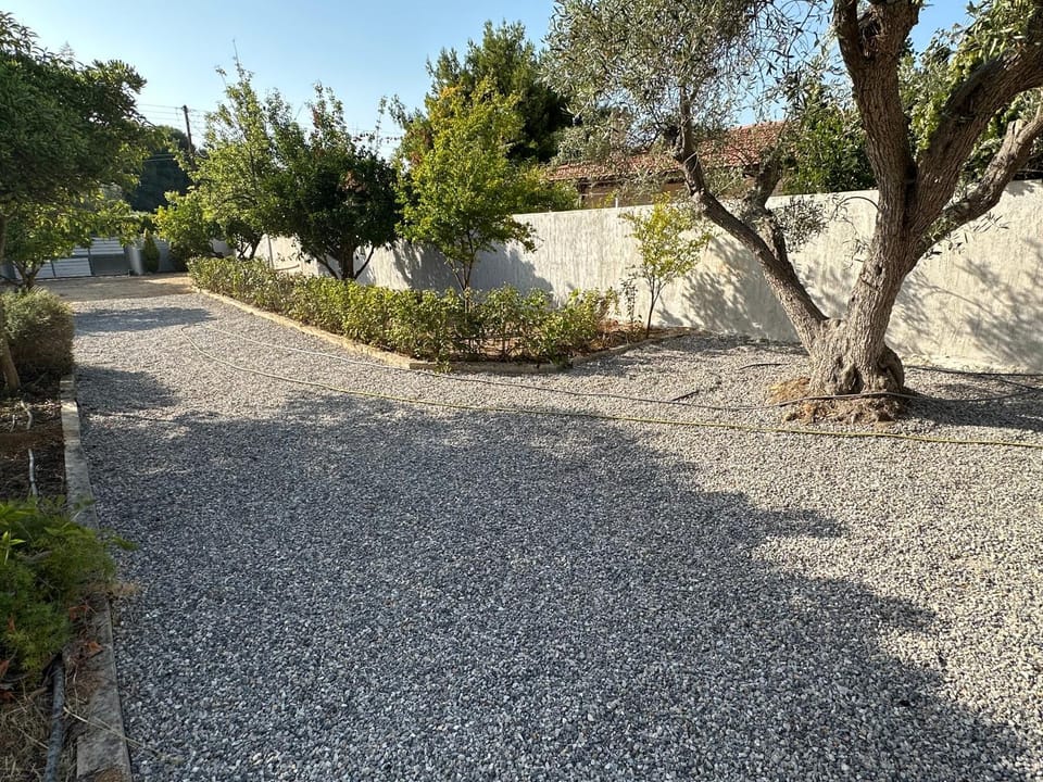 Spring, Day, Neighbourhood, Natural landscape