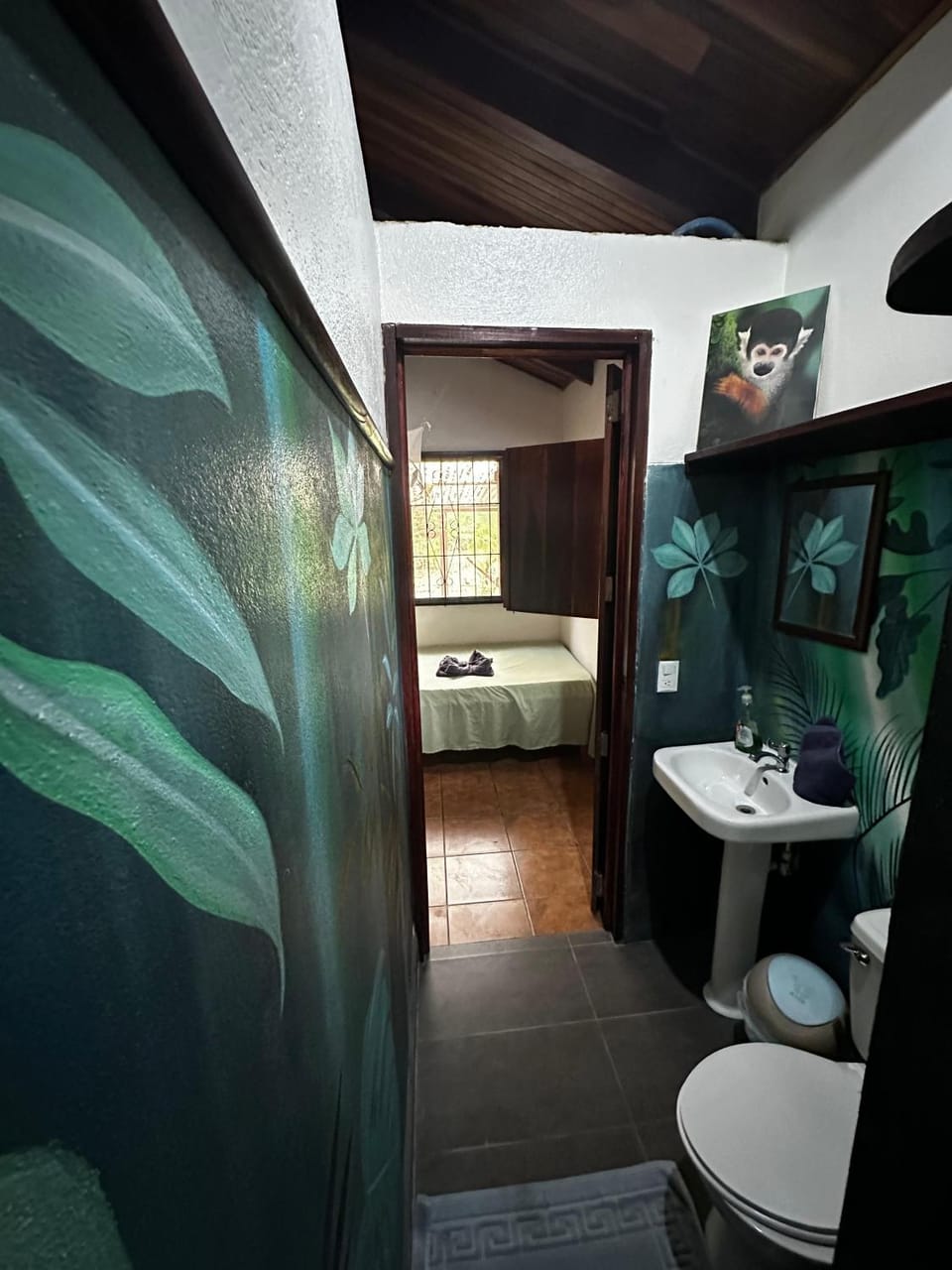 Mono Azul Cahuita House in Cahuita