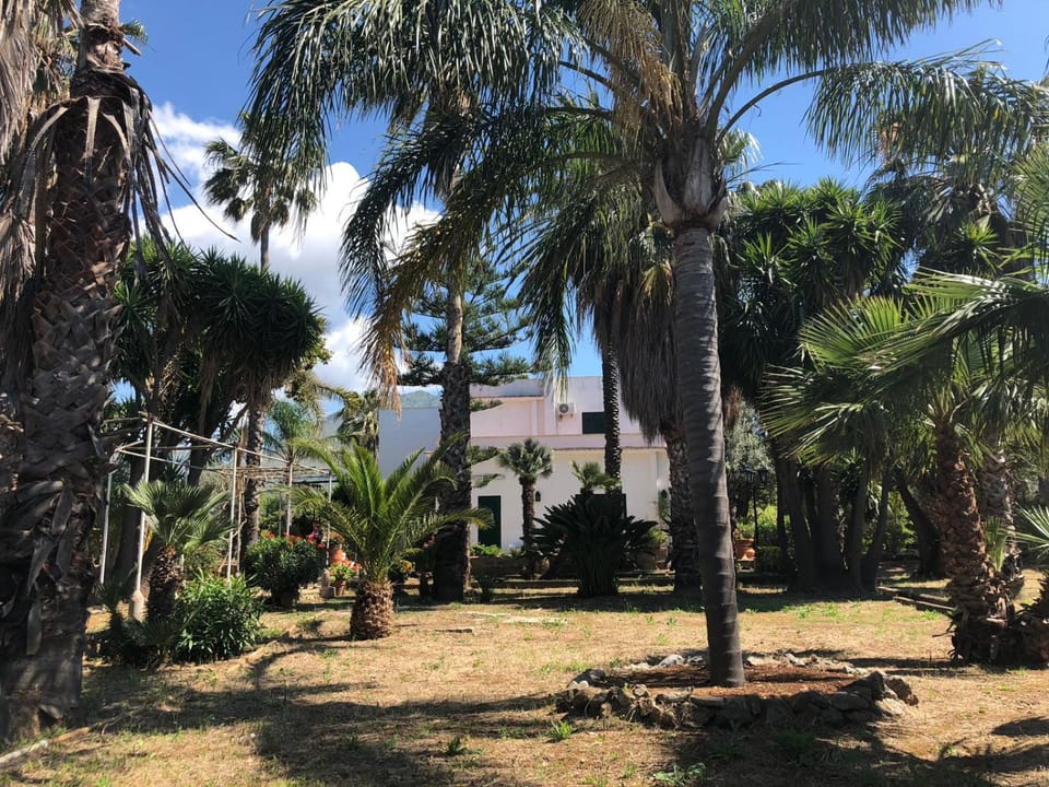 Property building, Garden