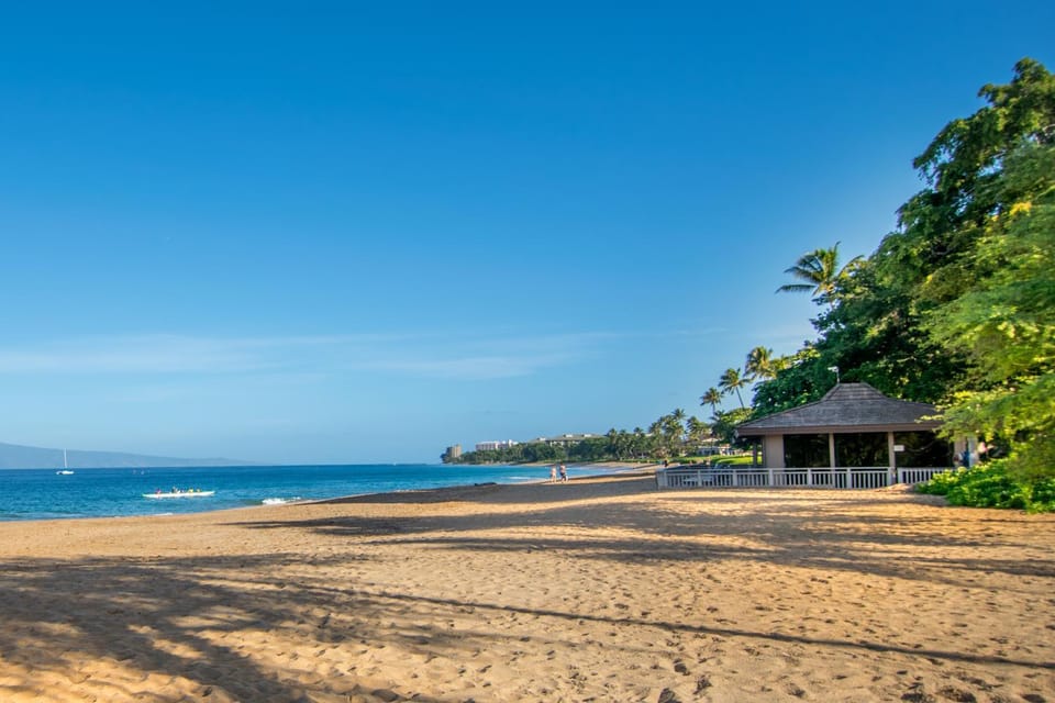 Beach, Beach