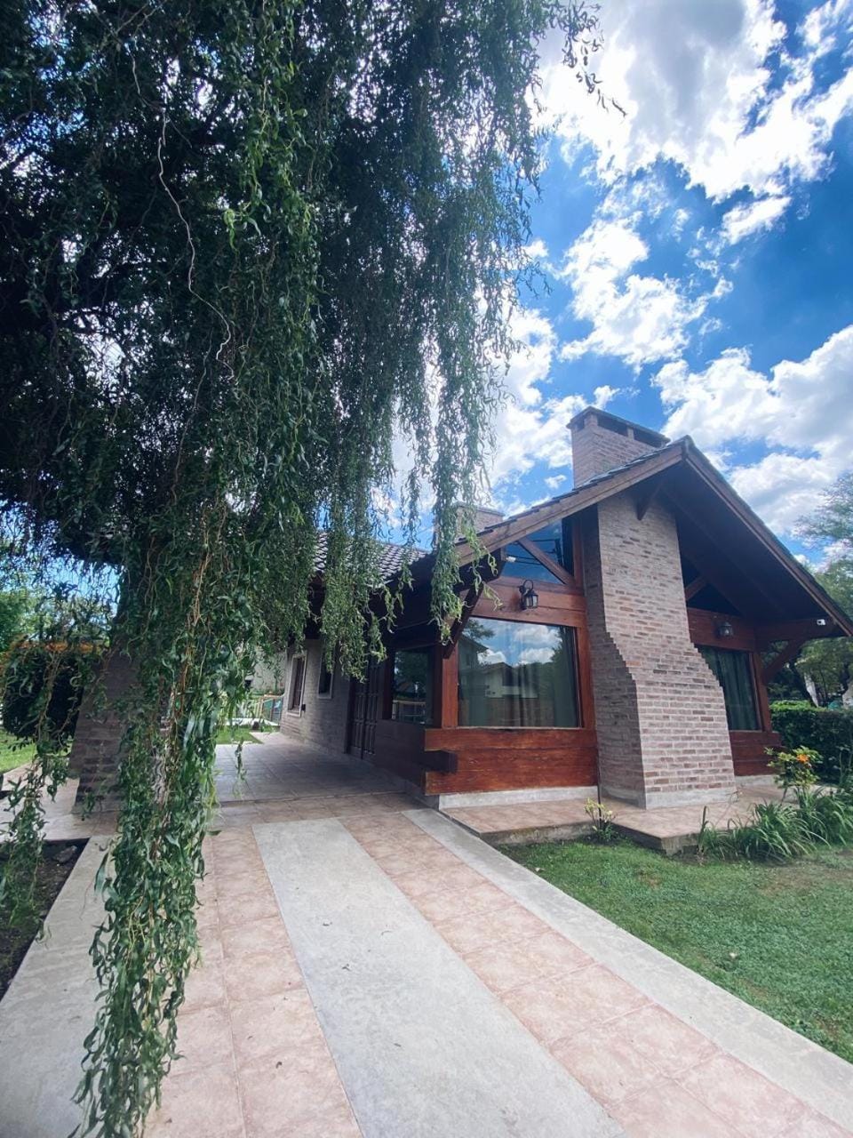 Patio, Pets, Swimming pool, towels
