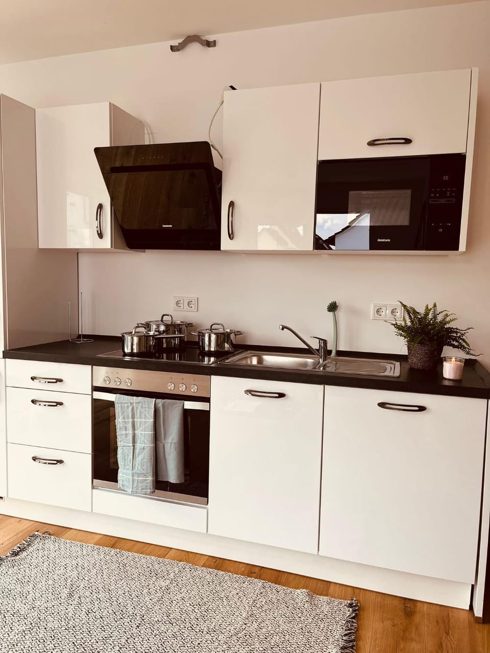 Kitchen or kitchenette, dishwasher, minibar, pet friendly, stove