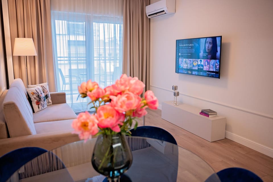 TV and multimedia, Decorative detail, Family, air conditioner