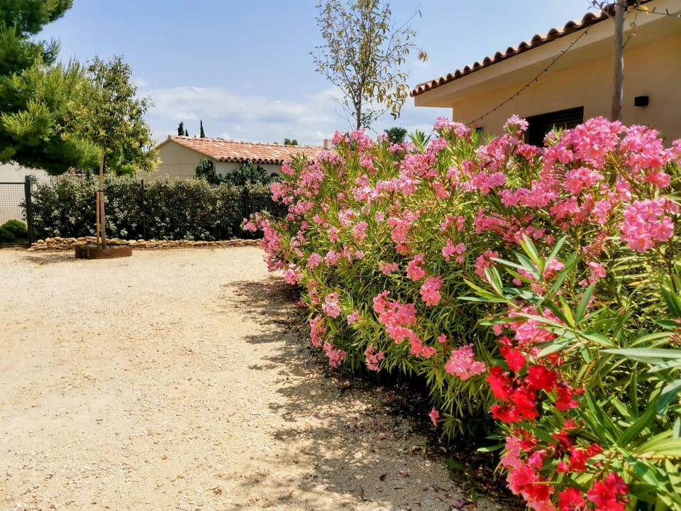Property building, Garden, Garden