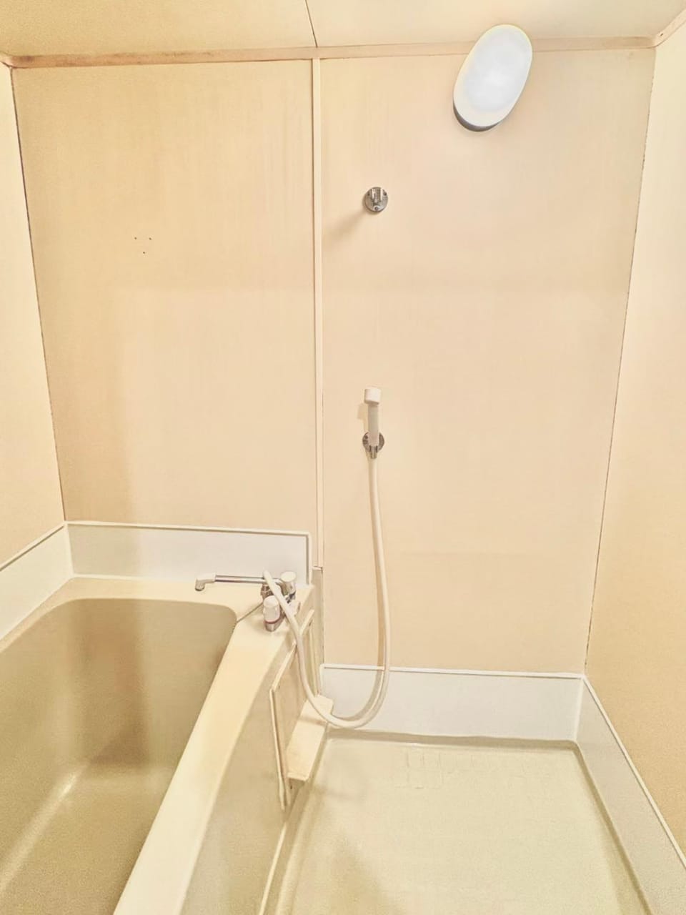 Emoto Asakusa Apartment in Japan