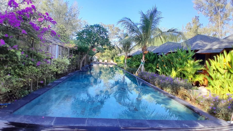 Garden, Garden view, Pool view